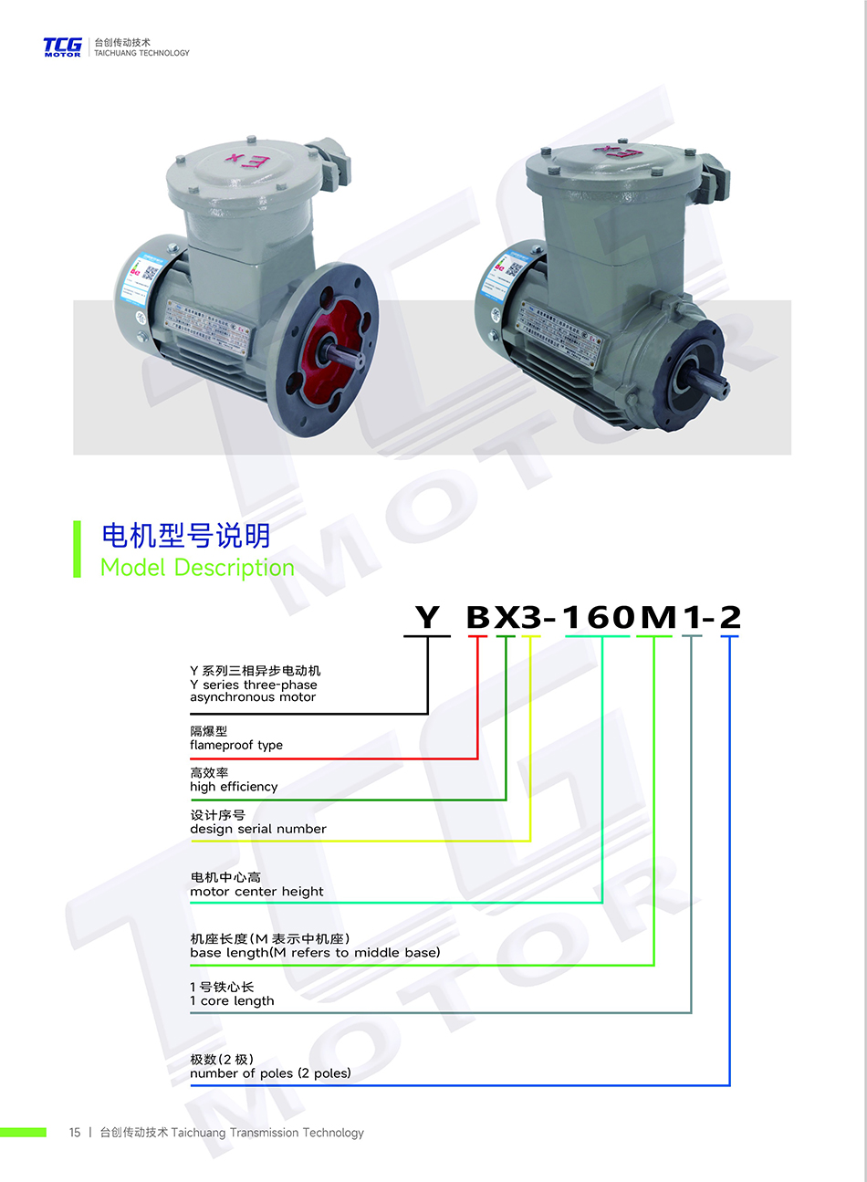 BT4防爆電機(jī)B3