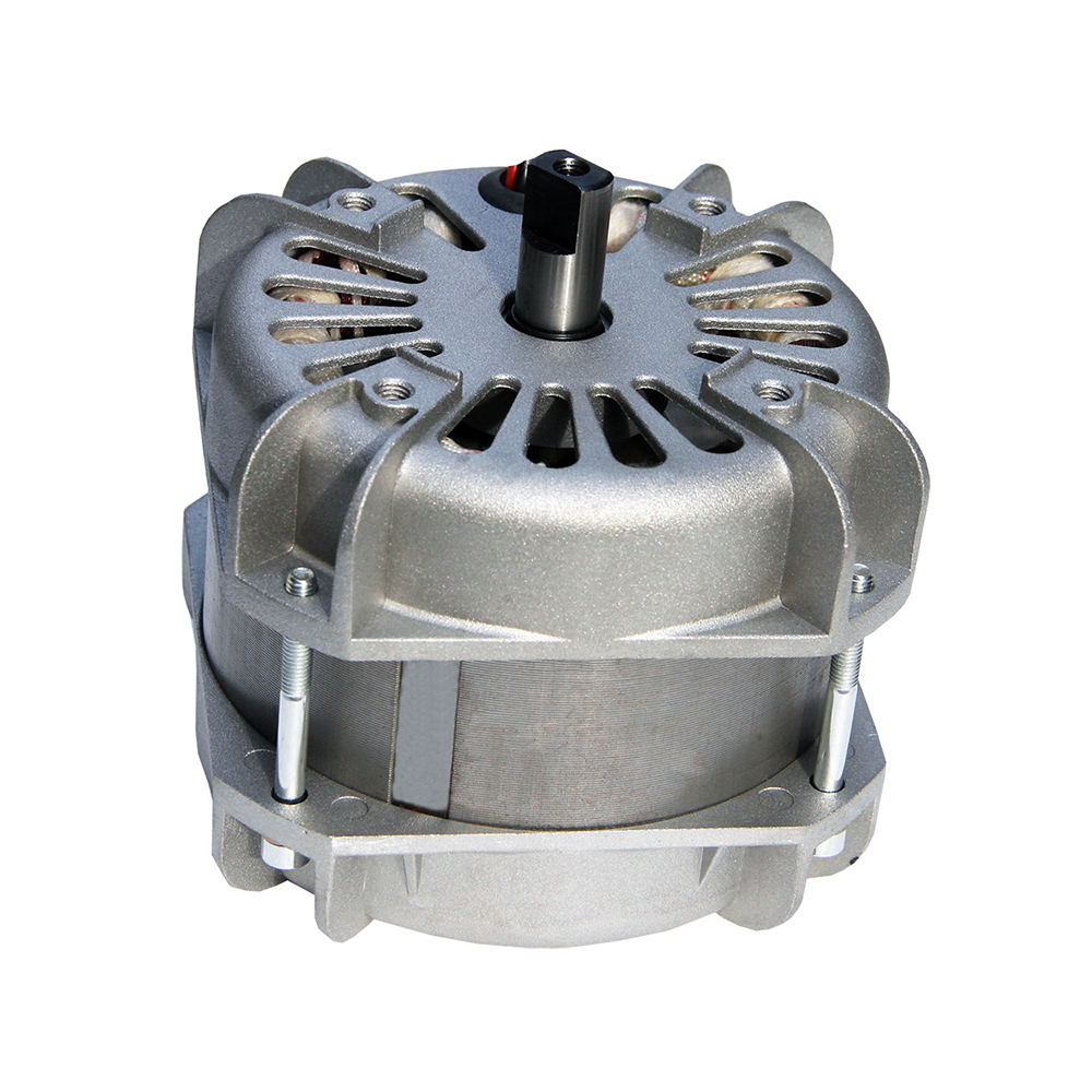 電動門專用電機(jī)